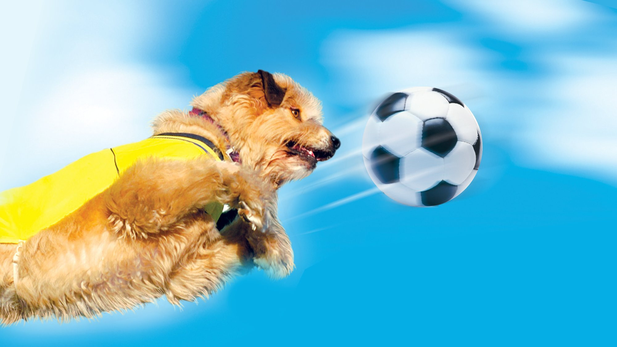 Soccer Dog 2: European Cup Background