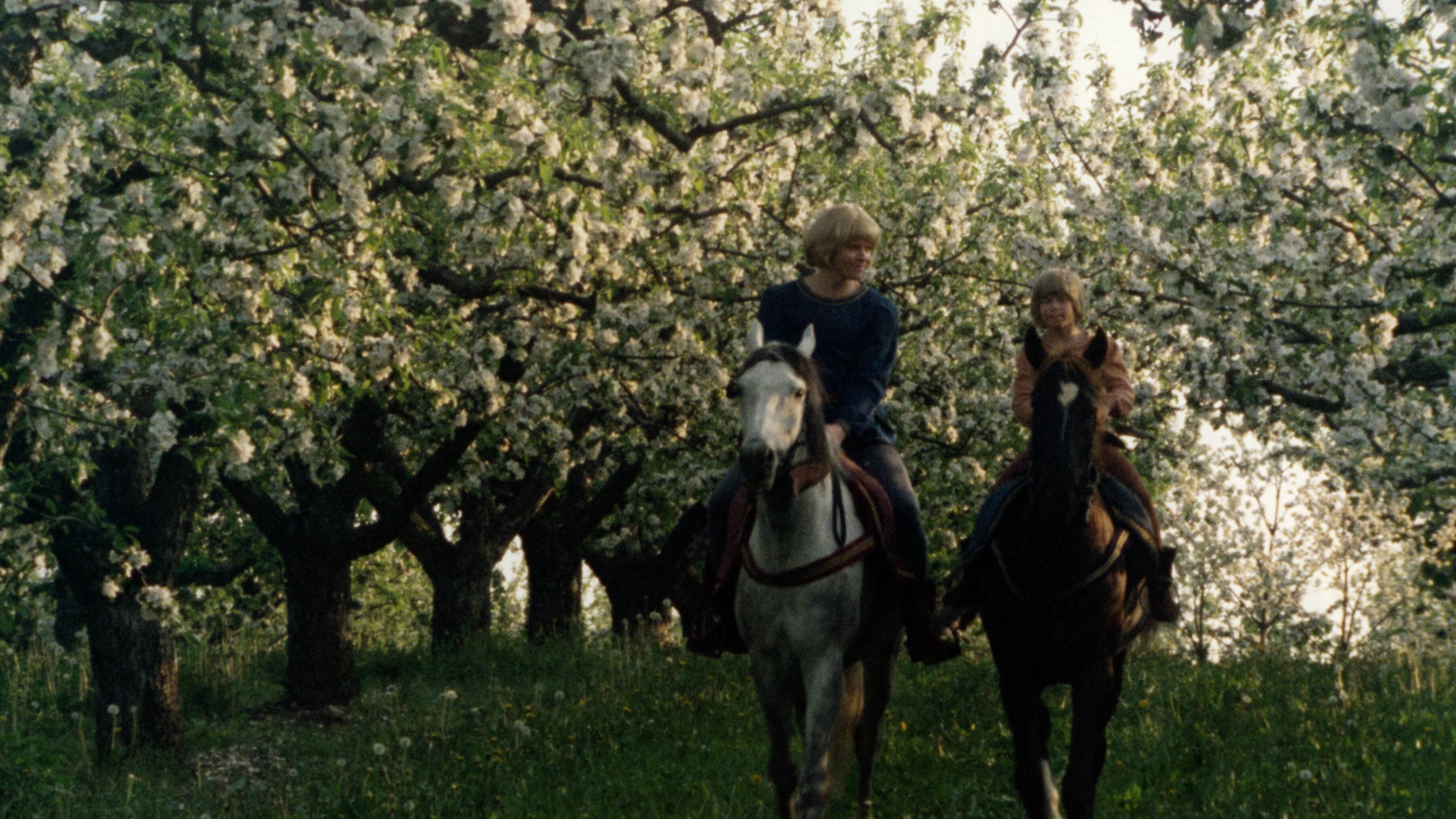 The Brothers Lionheart Background