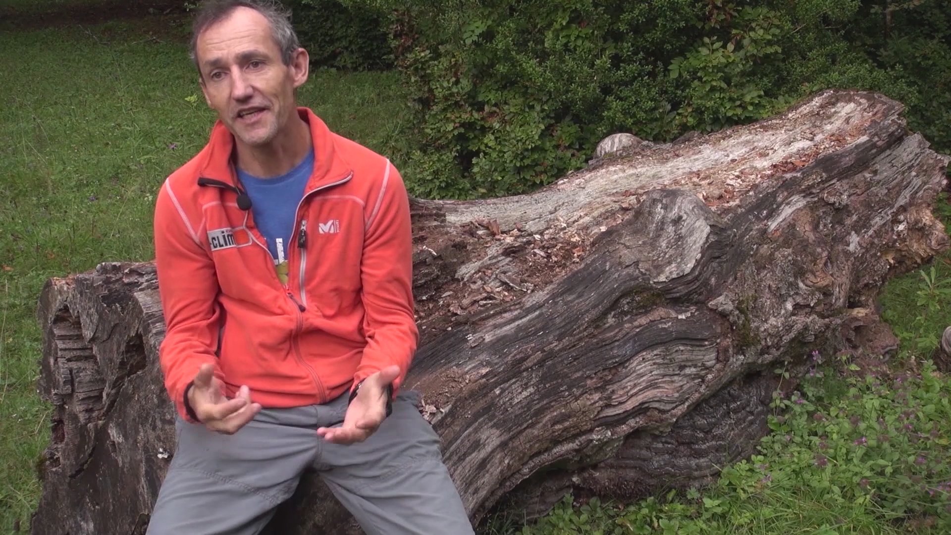 Al Otro Lado de la Cuerda Background