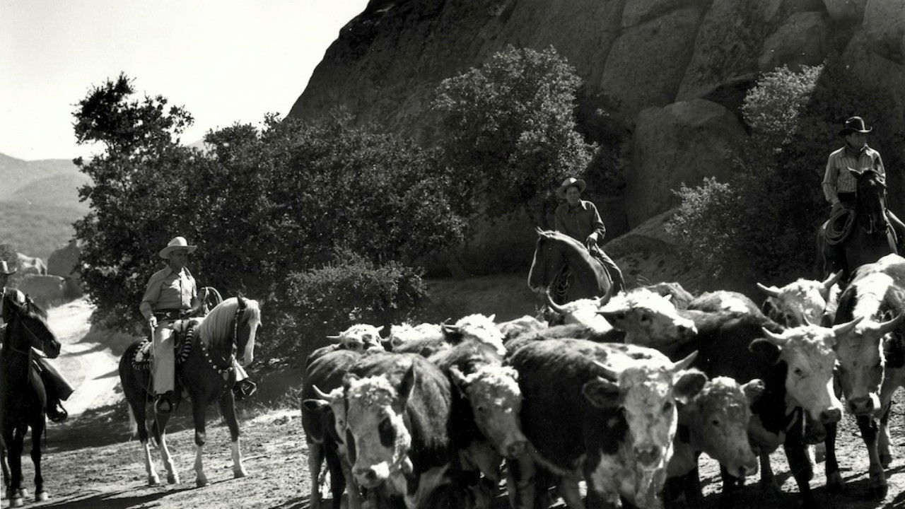 Riders in the Sky Background