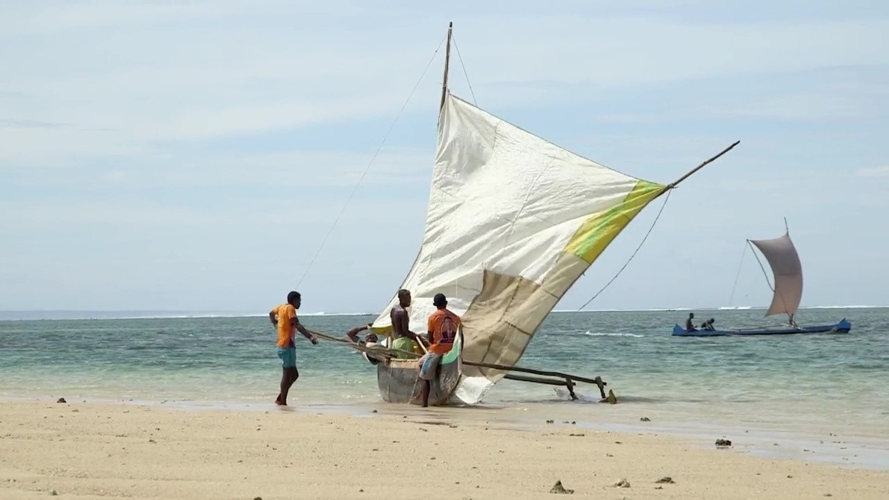 Morning Star Background