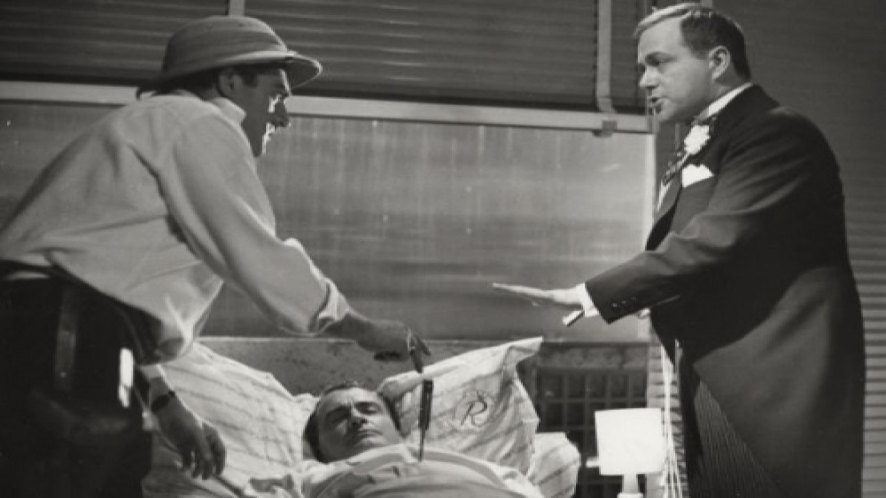 The Naked Diplomat Background