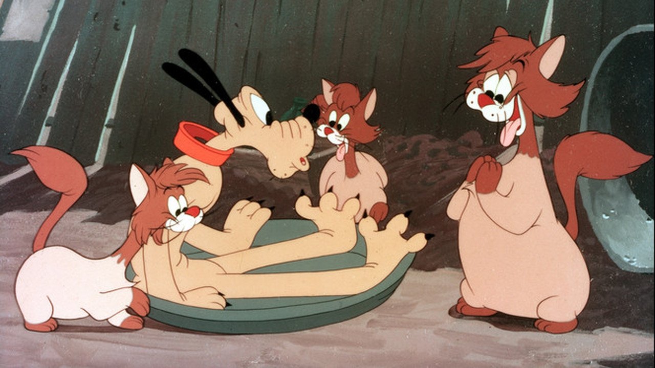 Puss Cafe Background