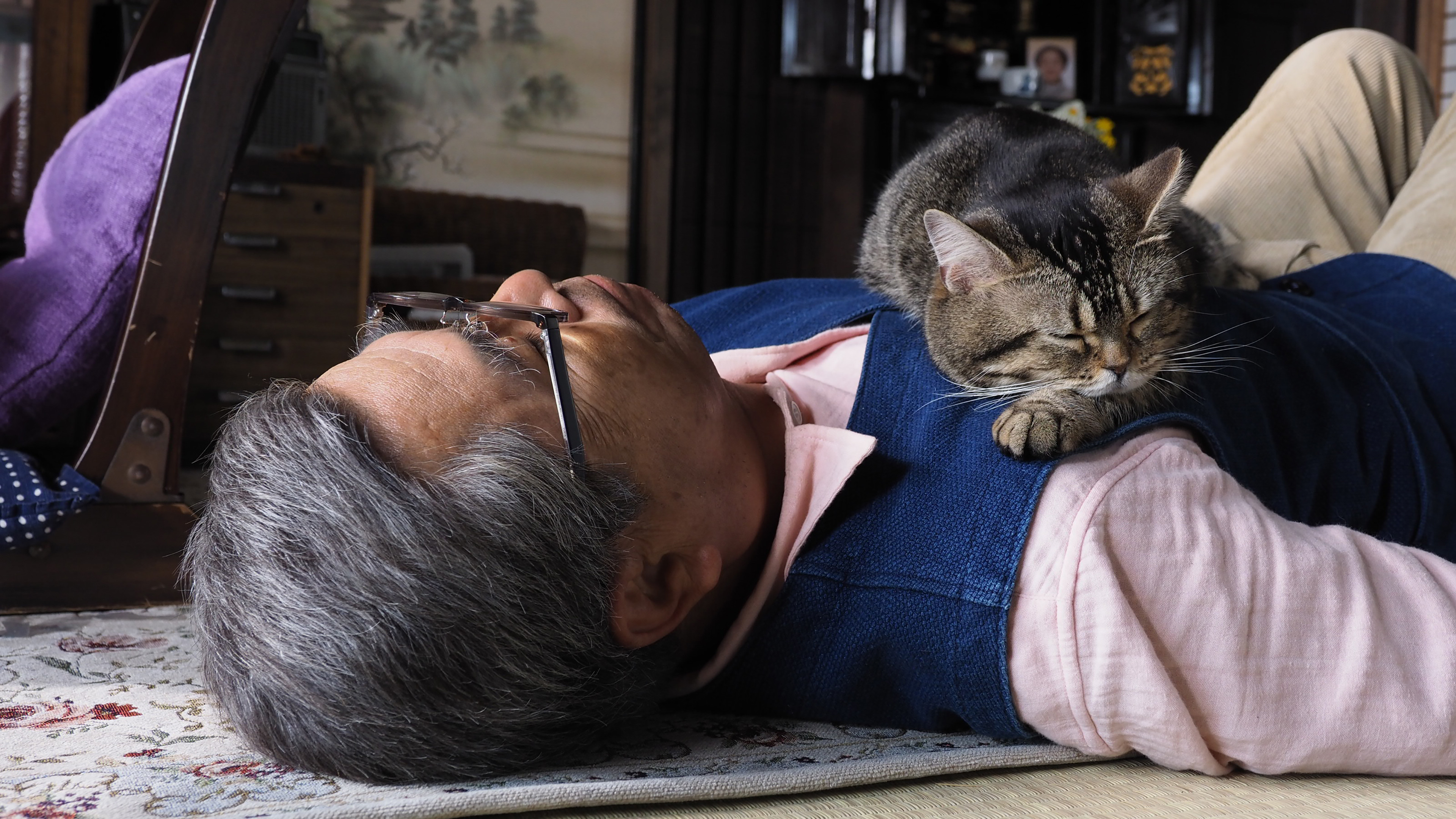 The Island of Cats Background