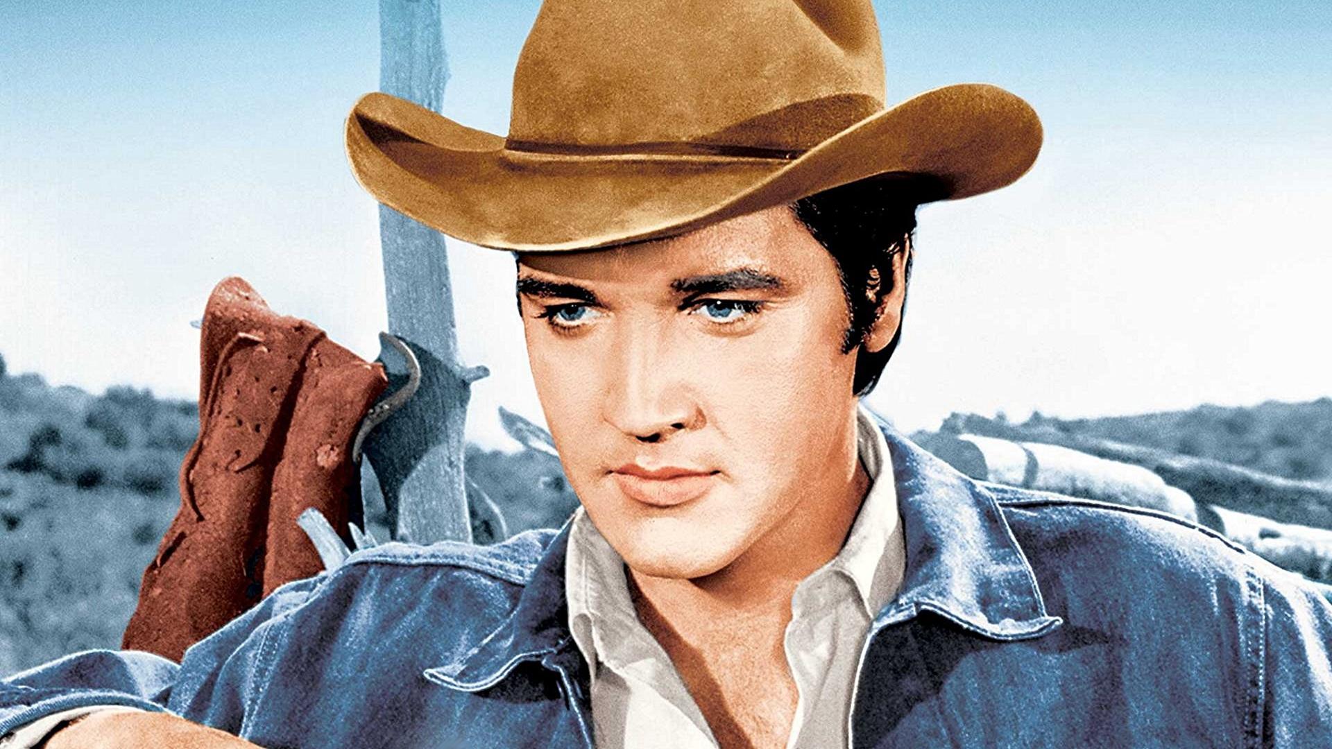 Stay Away, Joe Background