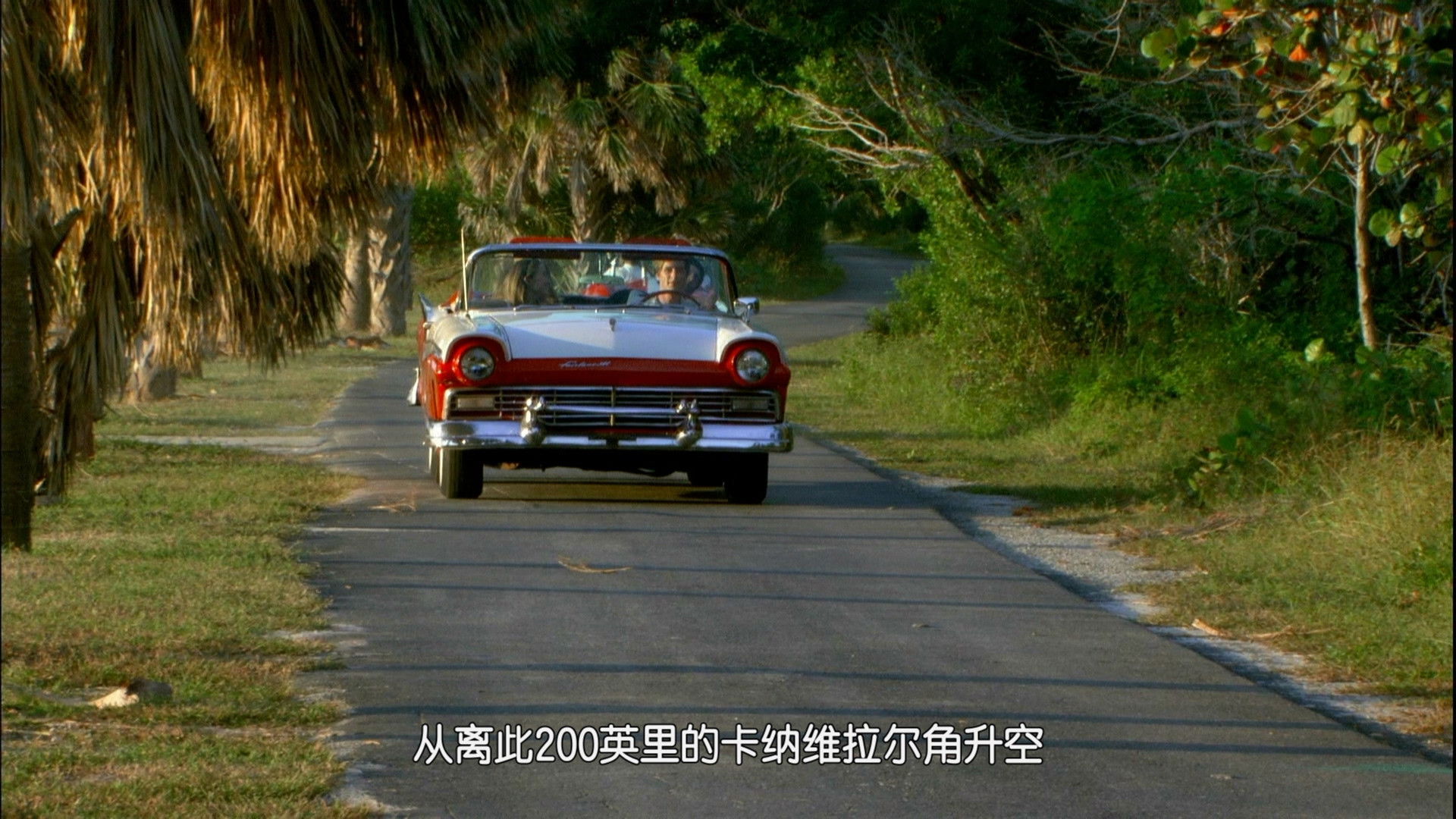 Seeing in the Dark Background