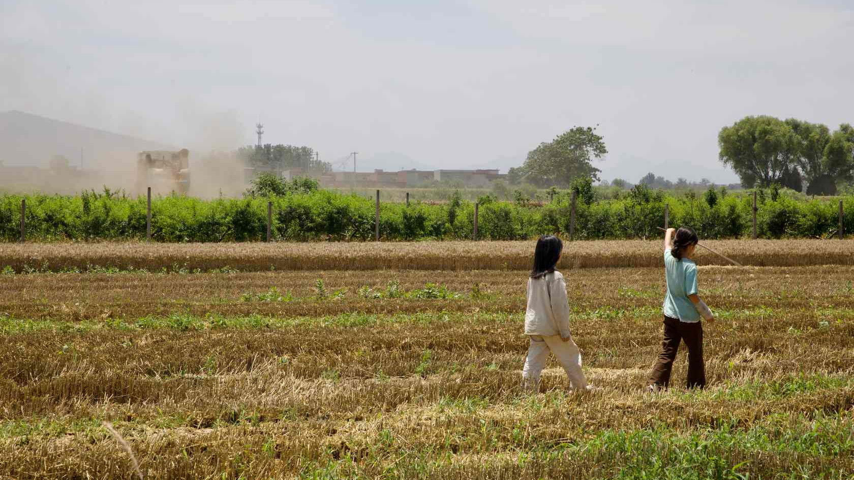 Nighttime Sounds Background