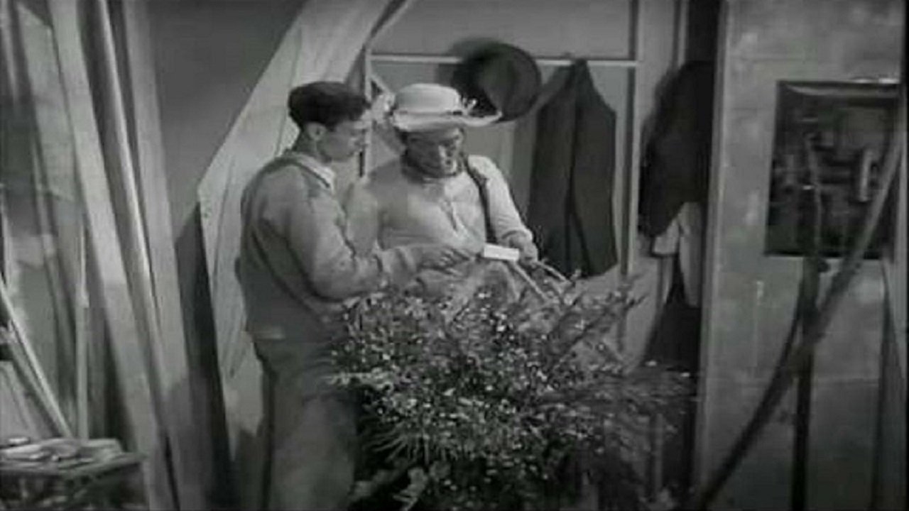 Águila o sol Background